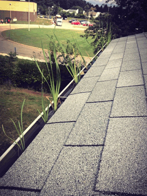 Gutter Guards 