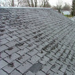 Roofing Shingles Storm Damage